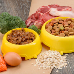 Raw,And,Store-bought,Pet,Food.,Just,Natural,Ingredients,With,Big