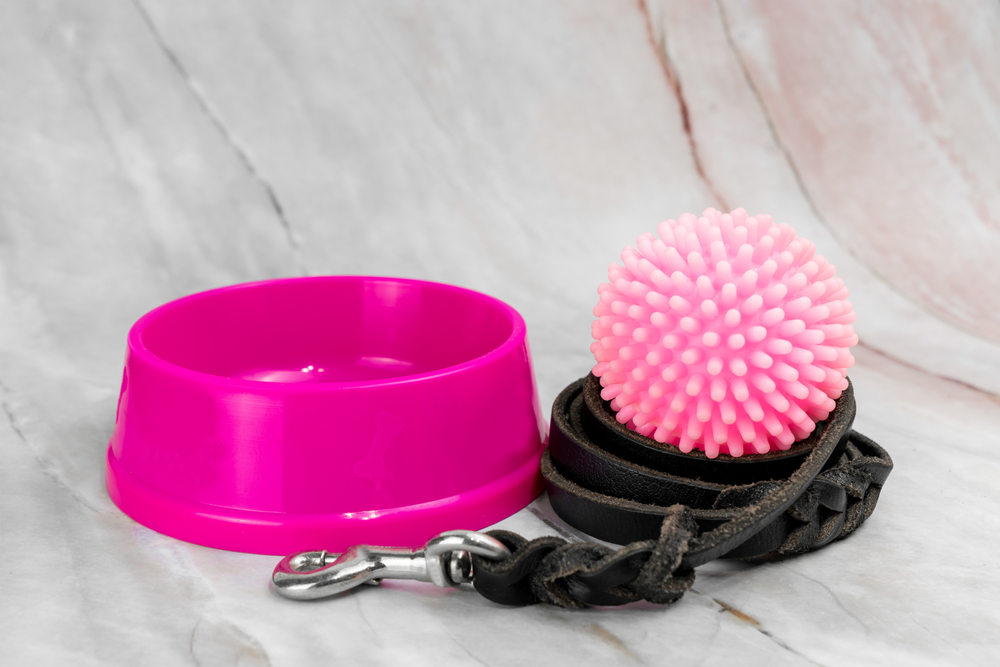 Bowl,For,Pet,And,Leashes,With,Collars