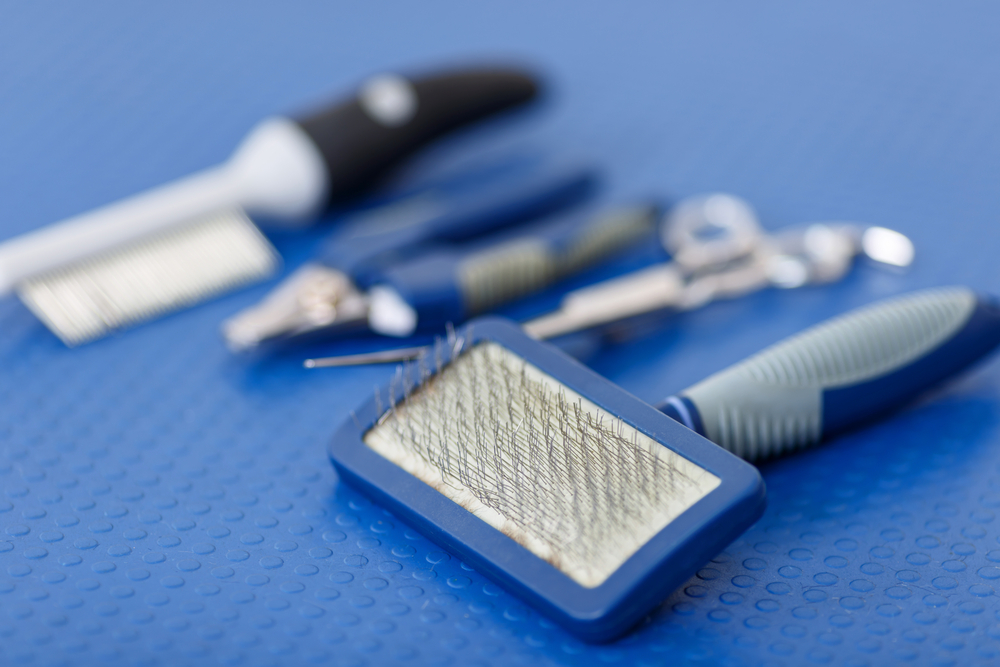 Grooming,Tools.,Close,Up,On,Various,Tools,Which,Are,Used