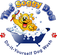 The Soggy Dog
