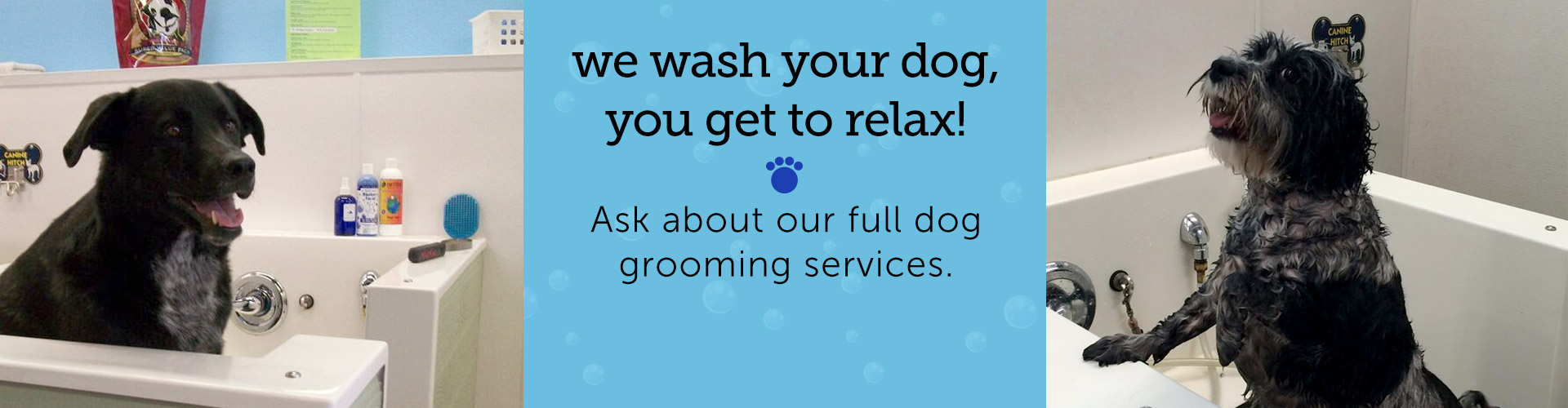 Best Dog Grooming Henderson Nv of the decade The ultimate guide 